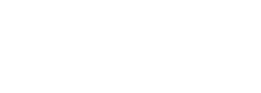 Prism Consulting
